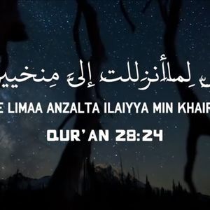 Meet your Posher, Aisha